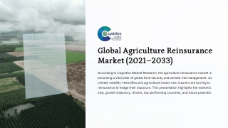 Agriculture Reinsurance Market Report