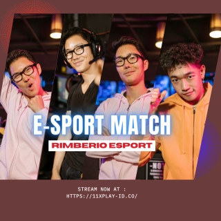 Monitoring the Progress of Your Referrals on 11xPlay Pro