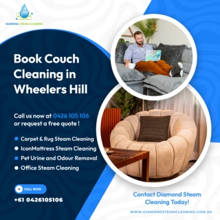 Book Couch Cleaning in Wheelers Hill Today