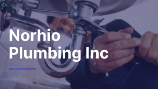 Norhio Plumbing Inc: Your Local Plumbing Experts in Aurora & Hudson.