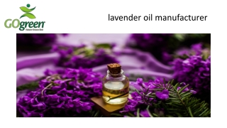 lavender oil manufacturer