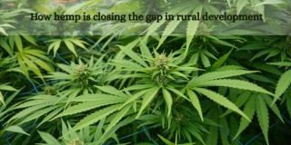 Rural Devlopment in India by Nap Limited