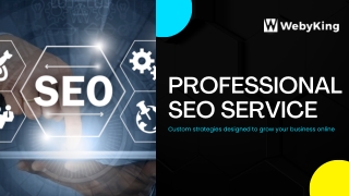 Professional SEO Service