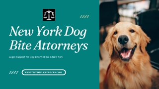 New York Dog Bite Attorneys | Zafonte Law Offices