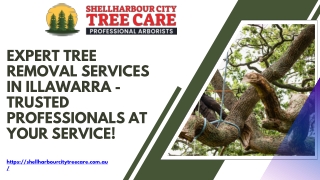 Expert Tree Removal Services in Illawarra - Trusted Professionals at Your Service!