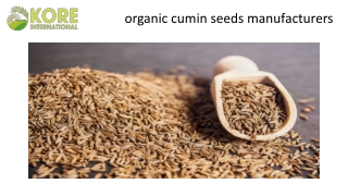 organic cumin seeds manufacturers