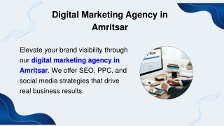 Digital Marketing Agency in Amritsar