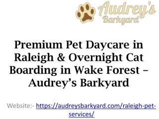 Premium Pet Daycare in Raleigh & Overnight Cat Boarding in Wake Forest – Audrey’s Barkyard