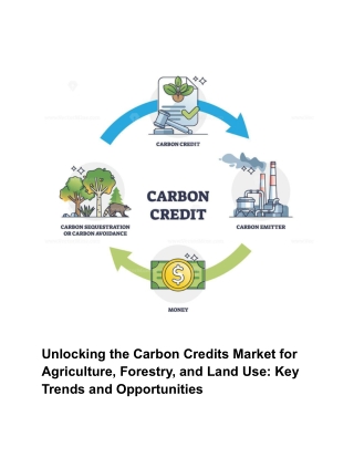 Unlocking the Carbon Credits Market for Agriculture, Forestry, and Land Use_ Key Trends and Opportunities