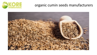 organic cumin seeds manufacturers