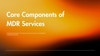 Core Components of MDR Services