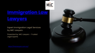 Immigration Law Lawyers
