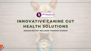 Canine Gut Health Solutions
