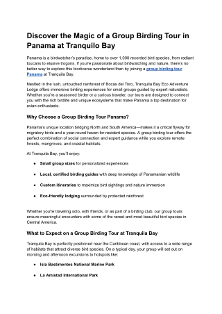 Discover the Magic of a Group Birding Tour in Panama