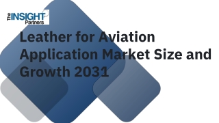 Leather for Aviation Application Market 