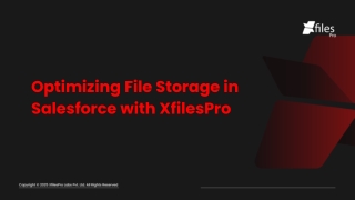 Optimizing File Storage in Salesforce with XfilesPro