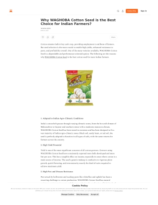 Why WAGHOBA Cotton Seed is the Best Choice for Indian Farmers