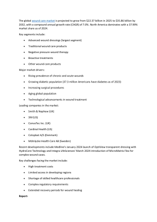 Wound Care Market Size