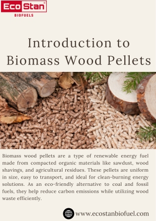 Biomass Wood Pellets Clean Energy from Sustainable Sources