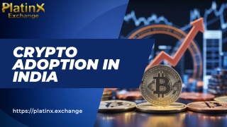 Crypto Adoption in India