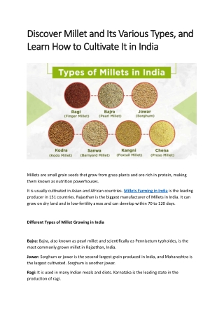Discover Millet and Its Various Types, and Learn How to Cultivate It in India