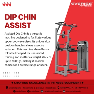 Dip Chin Assist PDF