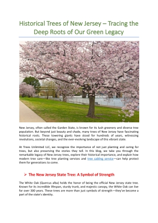Historical Trees of New Jersey – Tracing the Deep Roots of Our Green Legacy