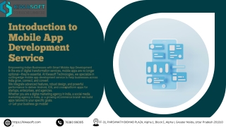 Custom Software Development – Built Just for You