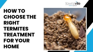 How To Choose The Right Termites Treatment For Your Home