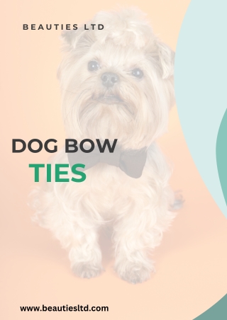 Stylish Companions Why Dog Bow Ties Are the Cutest Trend in Pet Fashion