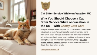 Cat Sitter Service While on Vacation UK | Chatty Cats Care