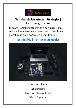 Sustainable Investment Strategies  Labizinsights