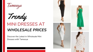 Trendy Mini Dresses at Wholesale Prices