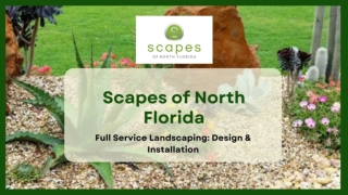Scapes of North Florida