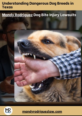 Understanding Dangerous Dog Breeds in Texas mandy law