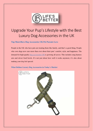 Upgrade Your Pup’s Lifestyle with the Best Luxury Dog Accessories in the UK
