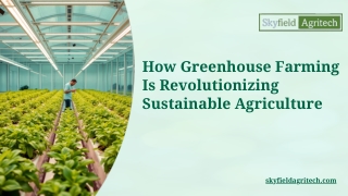 How-Greenhouse-Farming-Is-Revolutionizing-Sustainable-Agriculture