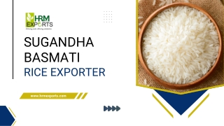 Best Sugandha Basmati Rice Exporter in India