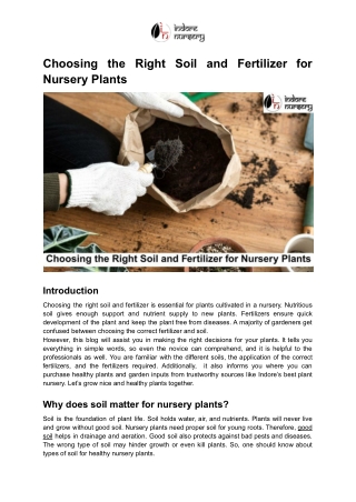 Choosing the Right Soil and Fertilizer for Nursery Plants