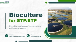 Bioculture for Wastewater Treatment in Pune