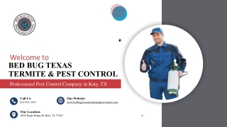 Expert Pest Control Services | Bed Bug Texas Termite