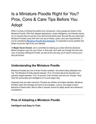 Is a Miniature Poodle Right for You_ Pros, Cons & Care Tips Before You Adopt