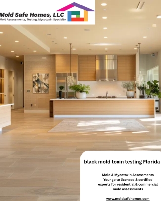 Black Mold Toxin Testing Florida – Certified Testing for Safer Indoor Air