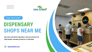 Dispensary Shops Near Me