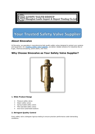 Your Trusted Safety Valve Supplier