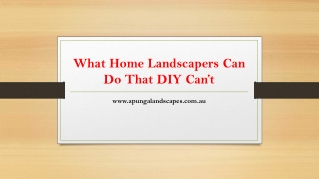 From Vision to Value: What Only Professional Landscapers Can Deliver