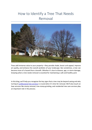 How to Identify a Tree That Needs Removal