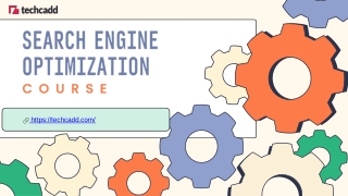 Best Search Engine Optimization Course in Jalandhar