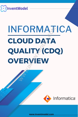 Informatica Cloud Data Quality (CDQ) Training – Real Projects, Certification