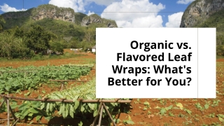 Organic vs. Flavored Leaf Wraps What's Better for You